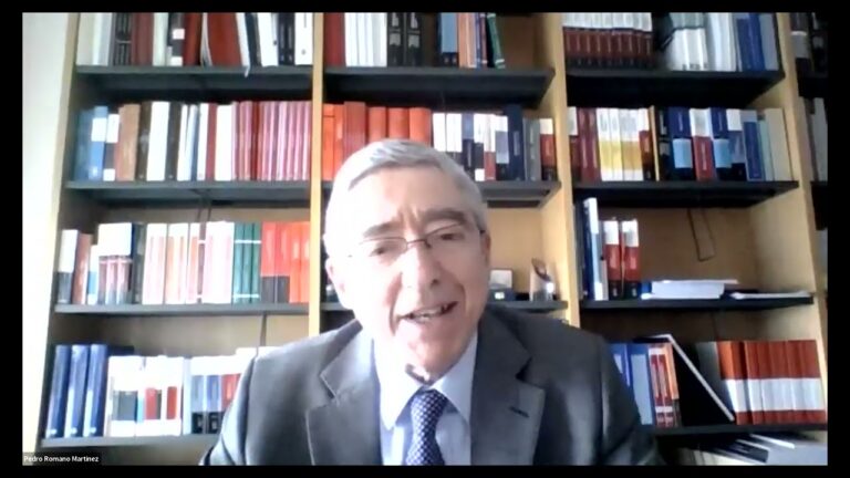 Análise da DL 291: Impactos e Implicações Jurídicas