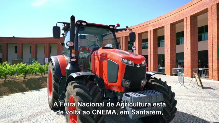 BPI Santarém: Desenvolvimento e Inovação na Região