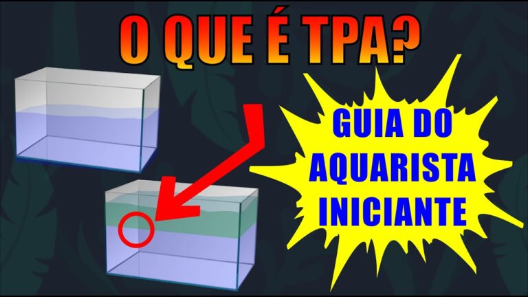 O Significado de TPA: Entenda o Termo e Suas Implicações