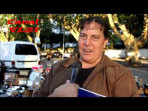 Descubra a Feira do Velho Lourosa: Tradição e Tesouros Antigos