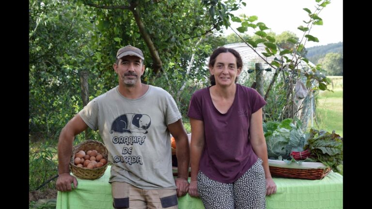 Millennium Lousada: Inovação e Desenvolvimento Sustentável