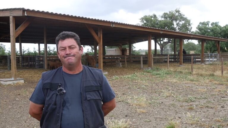 Exploração Sustentável de Ovinos em Portugal
