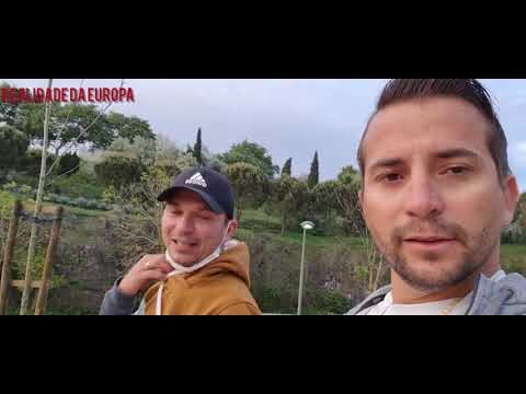 Casal de Cambra: Localiza&ccedil;&atilde;o e Atra&ccedil;&otilde;es