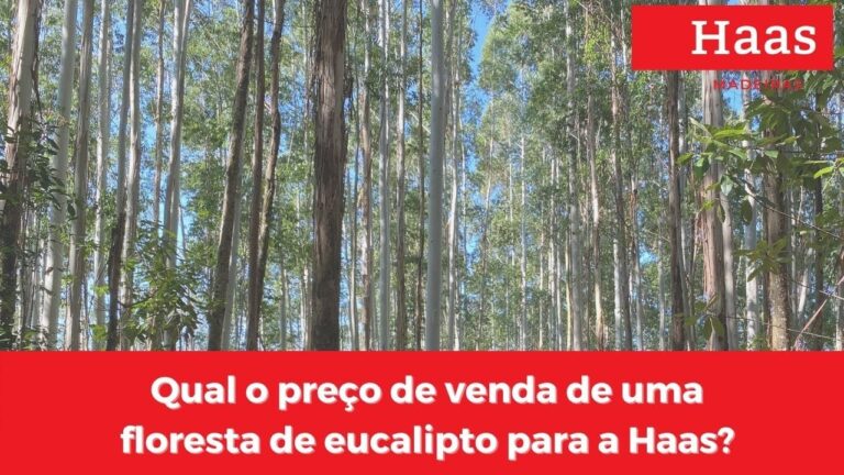 Eucalipto: An&aacute;lise do Pre&ccedil;o por Metro C&uacute;bico