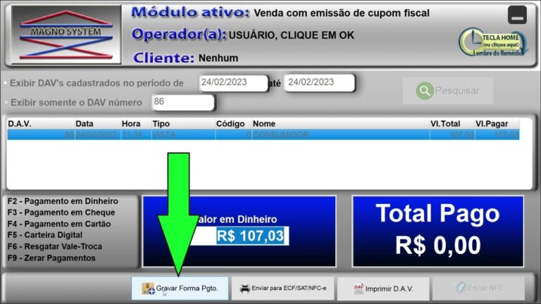 Guia Prático para Preenchimento do DAV