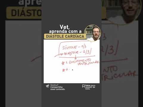 Hospital Veterinário Alfragide: Cuidado e Bem-Estar para Seu Pet