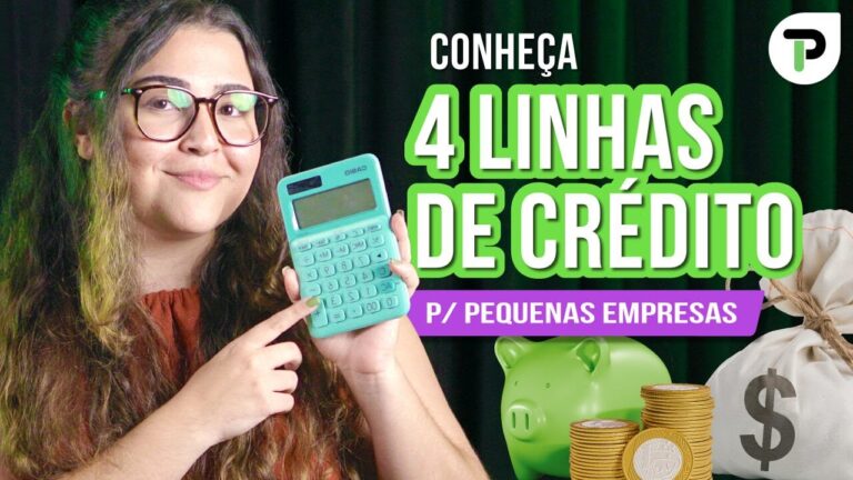 Empr&eacute;stimos Estrat&eacute;gicos para Criar Empresas
