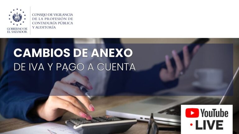 Entenda o IVA Anexo E: Guia Completo para Contribuintes