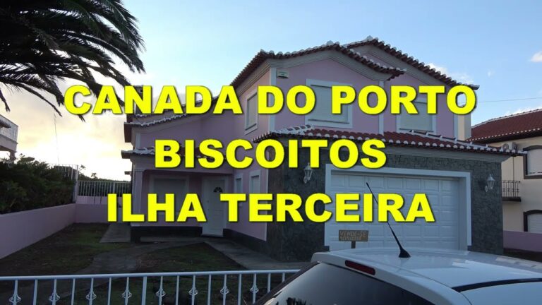 Estratégias de Vendas na Ilha Terceira