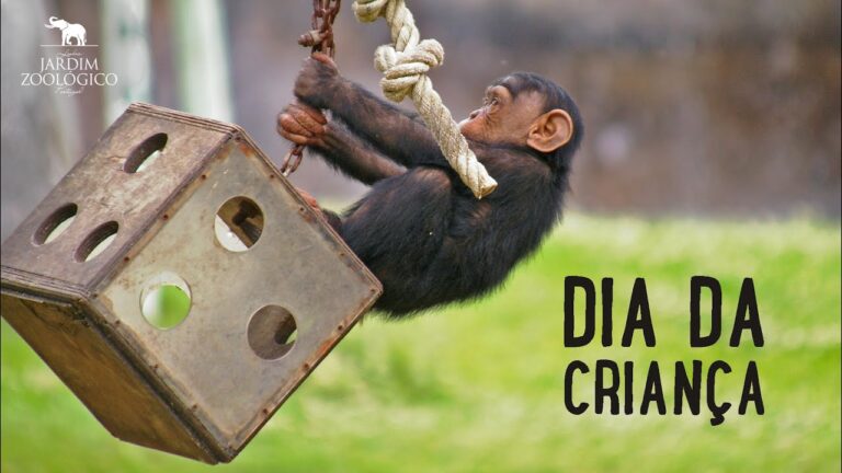 Celebração do Dia da Criança no Jardim Zoológico