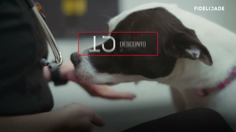 Fidelidade no Seguro Animal: Protegendo Seu Melhor Amigo