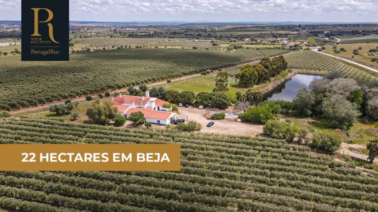 Casas à Venda em Beja: Encontre Seu Novo Lar