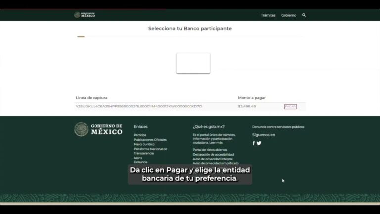 Simulador de Seguro Social Voluntário: Como Funciona e Vantagens