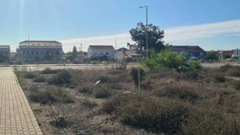 Terrenos em Azeitão: Oportunidades e Potencial de Investimento