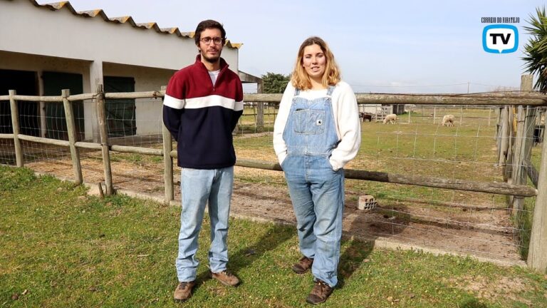 Horários de Atendimento para Finanças em Montemor-o-Velho