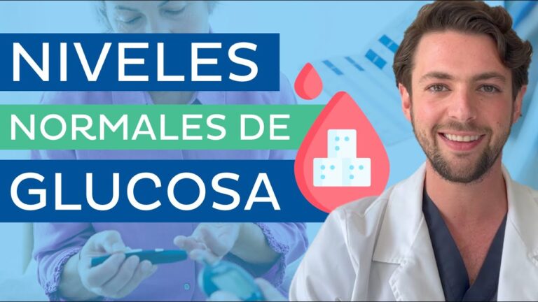 Desvendando o DL 149 95: Impactos e Implicações