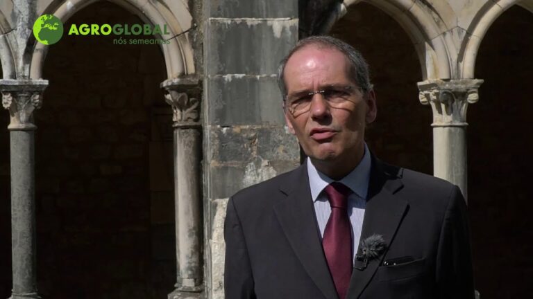 Banco Millennium em Coimbra: Soluções Financeiras Inovadoras