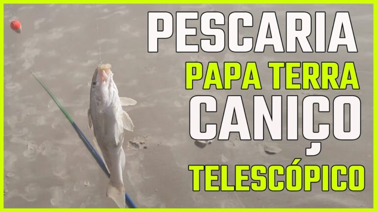 Horários Canico: O Guia Completo para Planejar Sua Visita