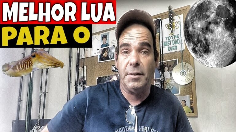 Baixa Mar em Set&uacute;bal: Encantos e Descobertas