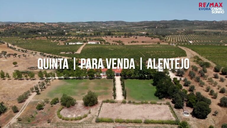 Quinta à Venda no Alentejo: Oportunidade Imperdível