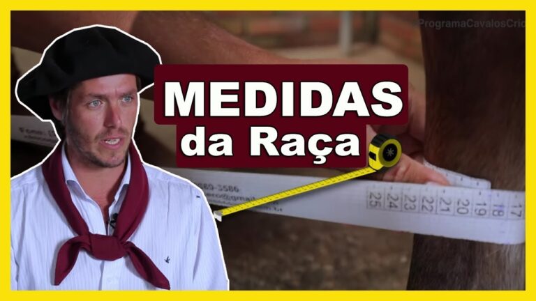 Defina Confirmar: Entenda Seu Significado e Uso