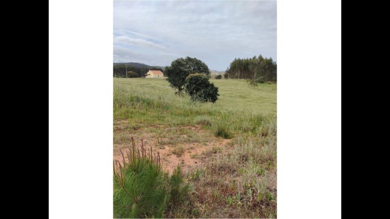 Terrenos à Venda em Torres Vedras: Oportunidades Imperdíveis