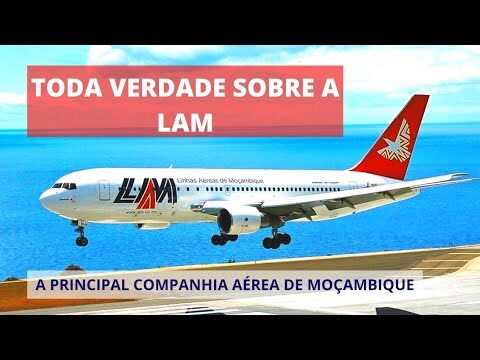 Contatos da Avis Mo&ccedil;ambique: Tudo o que Voc&ecirc; Precisa Saber