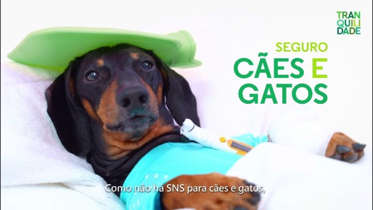 Import&acirc;ncia do Seguro de Responsabilidade Civil para C&atilde;es