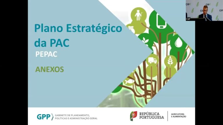 Guia Completo sobre IFAP e Subsídios Disponíveis