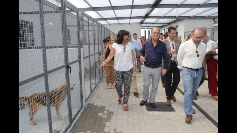 Hospital Veterinário de Cascais: Cuidados de Excelência para Seus Animais