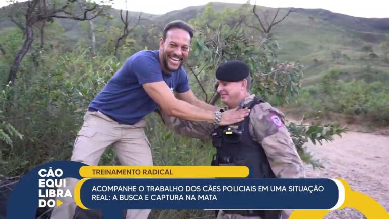 Inovação no Têxtil: Cães de Pedra SA em Destaque