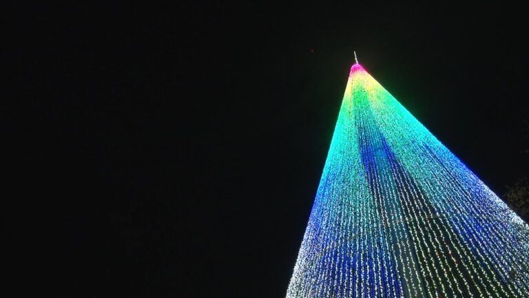 A Maior Árvore de Natal de Portugal: Um Espetáculo de Luzes e Tradição