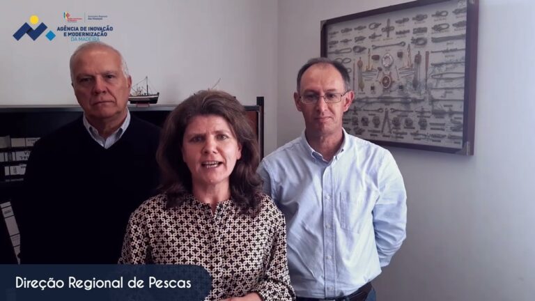 Portal Simplifica Madeira: Facilite Seus Processos Administrativos
