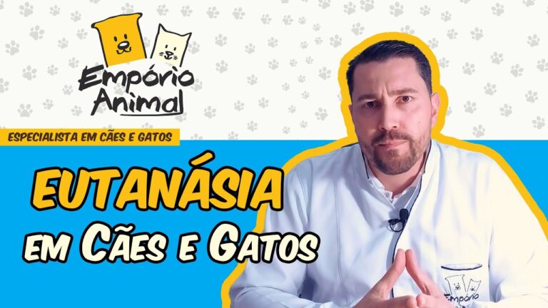 Eutan&aacute;sia Animal: Custos e Considera&ccedil;&otilde;es &Eacute;ticas