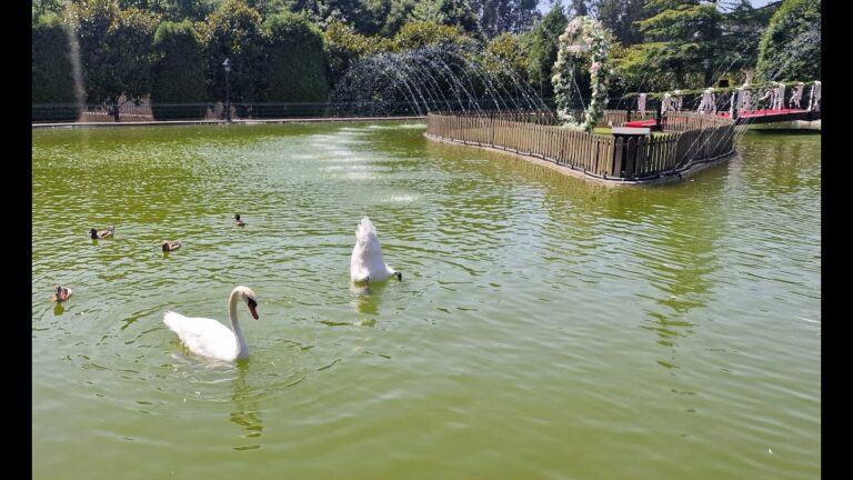 Explorando a Quinta da Costa em Santa Maria da Feira