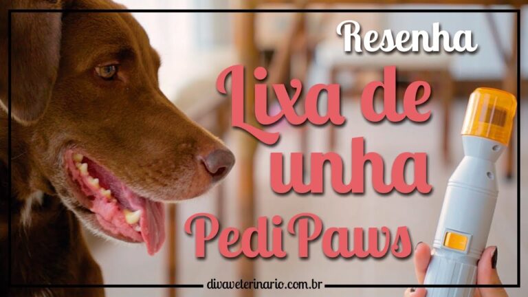 Hospital Veterin&aacute;rio Lixa: Cuidado e Amor para Seus Animais