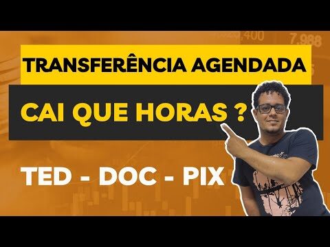 Hor&aacute;rios para Receber Transfer&ecirc;ncias: Quando Cai?