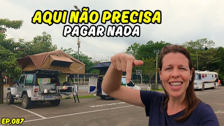 Apoio Gratuito: Benefícios e Oportunidades disponíveis
