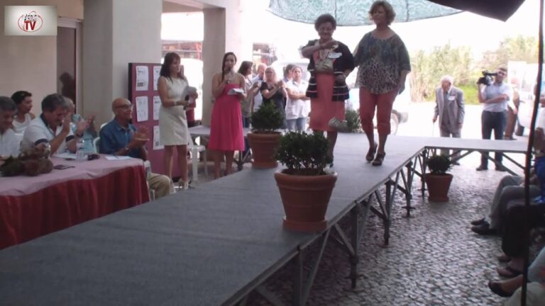 Fortalecendo Comunidades: O Impacto do Centro de Apoio Sócio Cultural Unidade Zambujalense