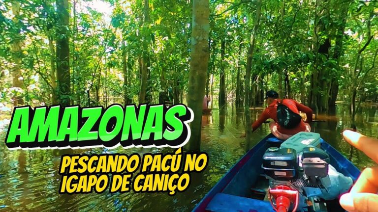 Horários de Caniço: Guia Completo para Planejar sua Visita